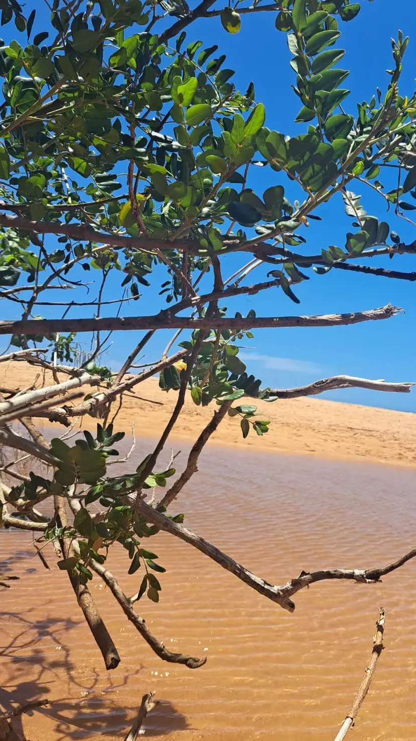 ai character: anão background