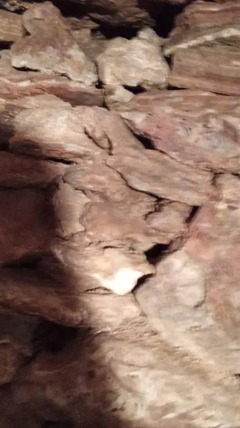 ai character: MHA background