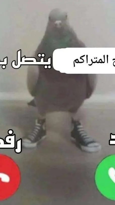 ai character: Tu mascota background