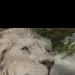 chat with ai character: Kiros
