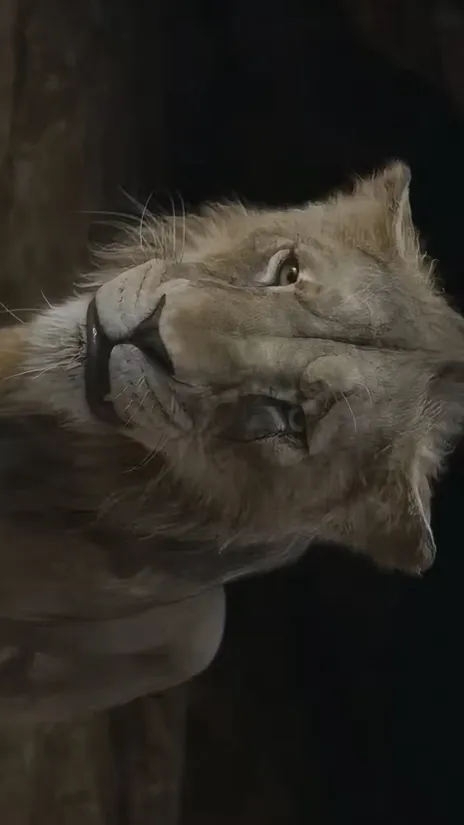 ai character: Mufasa: Tlk background