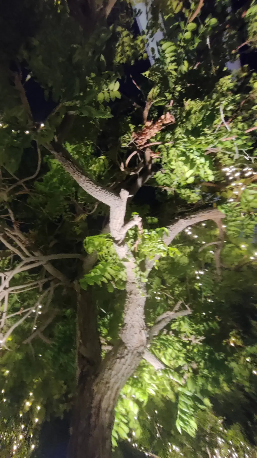 ai character: Your story!  background