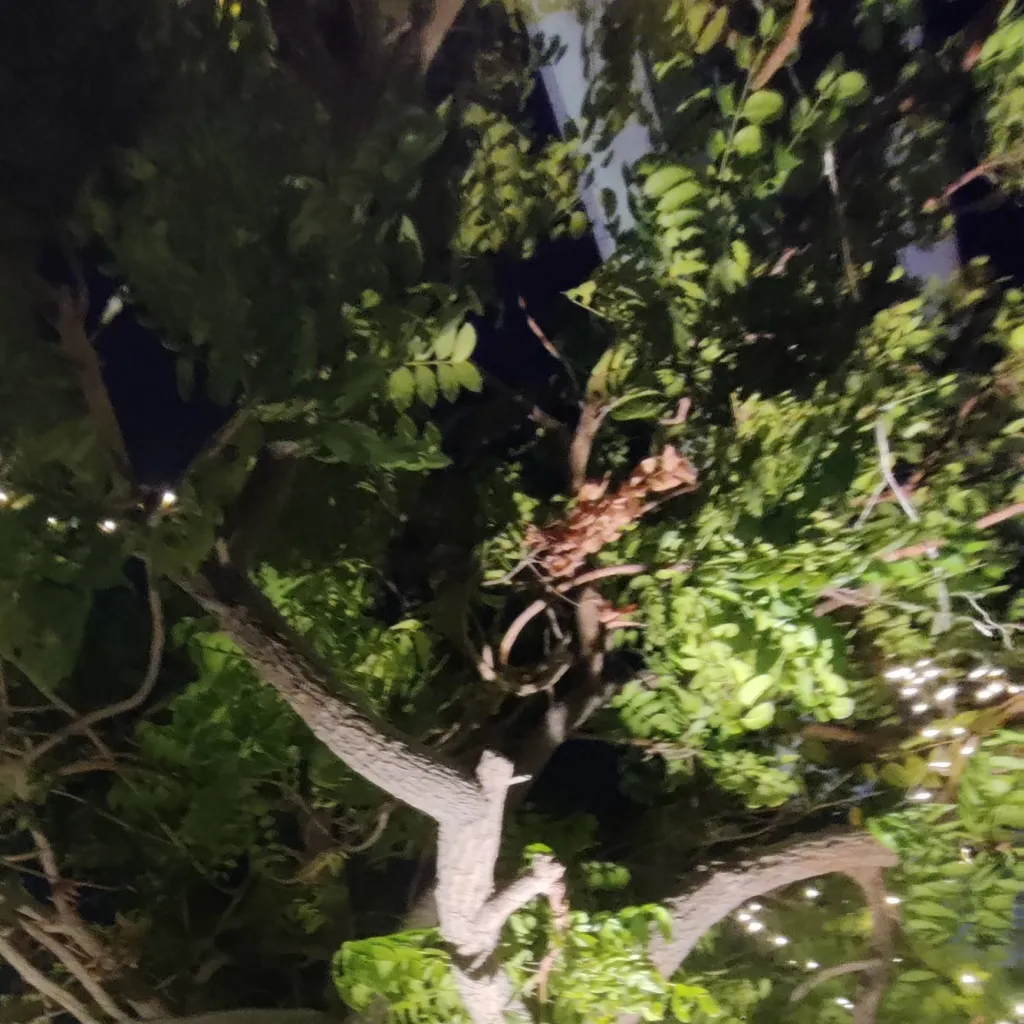 chat with ai character: Your story! 