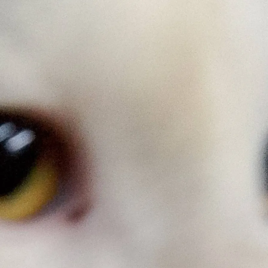 chat with ai character: Blue The Cat