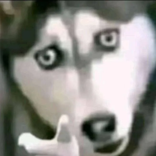 chat with ai character: abonnez vous 