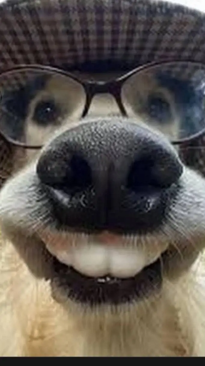 ai character: ваш пёс background