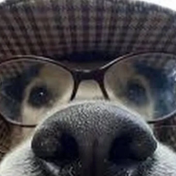 chat with ai character: ваш пёс