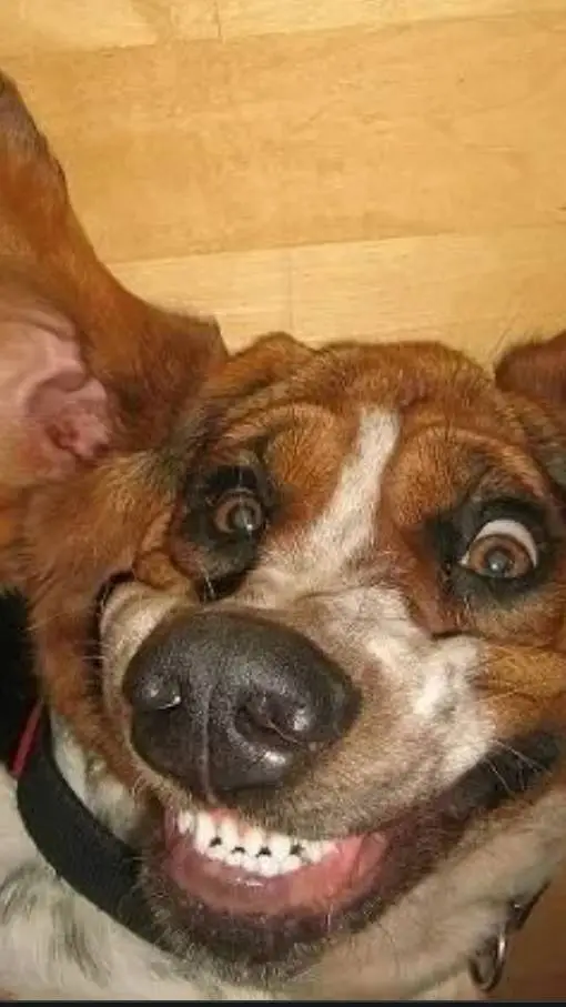 ai character: новое 📜 background