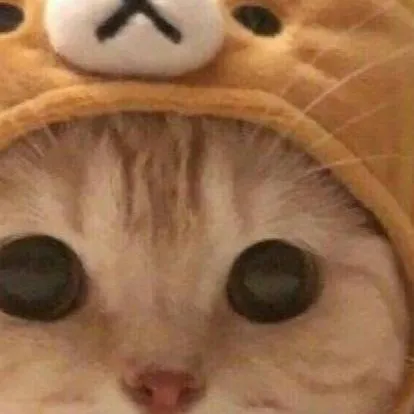 chat with ai character: Gatito 