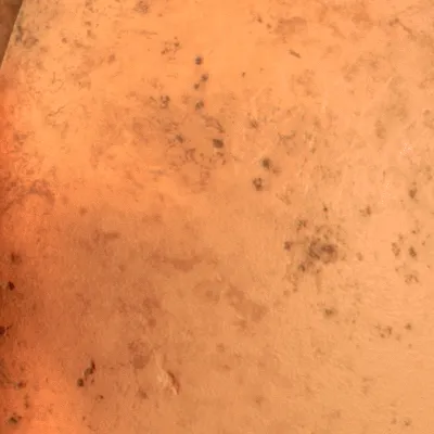 chat with ai character: Freddy