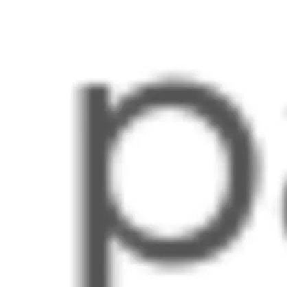 chat with ai character: letra P