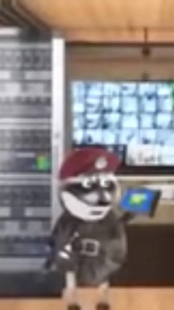 ai character: Mr.Raccoon background