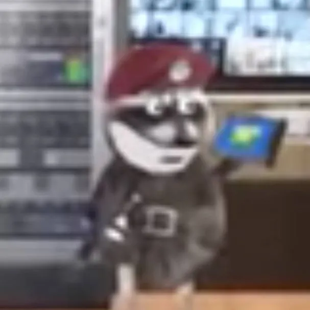 chat with ai character: Mr.Raccoon