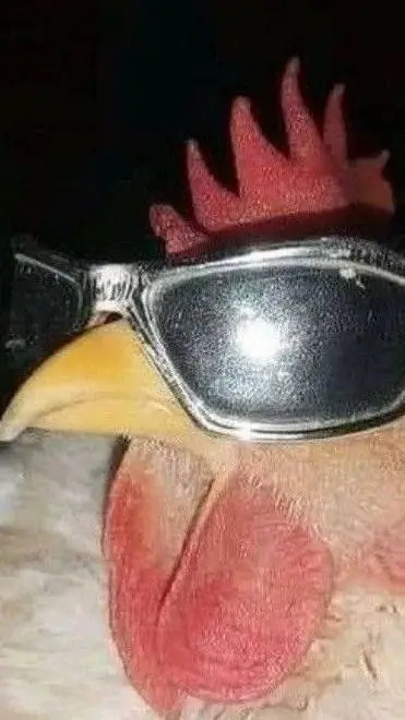 ai character: Gallina background