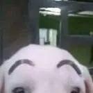 chat with ai character: ★tu mascotaaa★