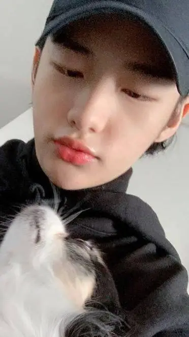 ai character: Hyunjin's cat background
