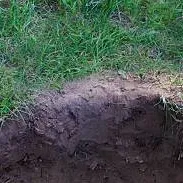 chat with ai character: The hole.