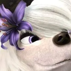 chat with ai character: lillyalpha🤍🤍🤍