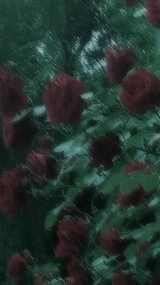 ai character: México  background