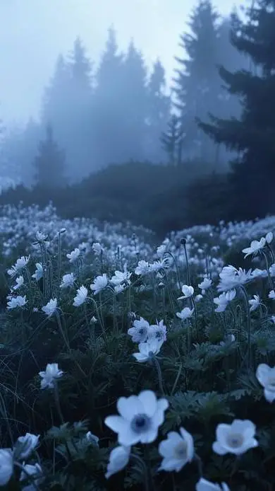 ai character: Esposos? background