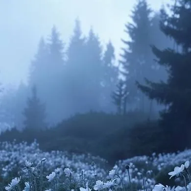 chat with ai character: Esposos?