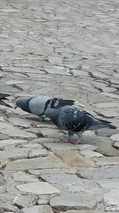 ai character: timmy (pt2 :O) background