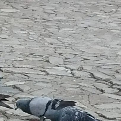 chat with ai character: timmy (pt2 :O)