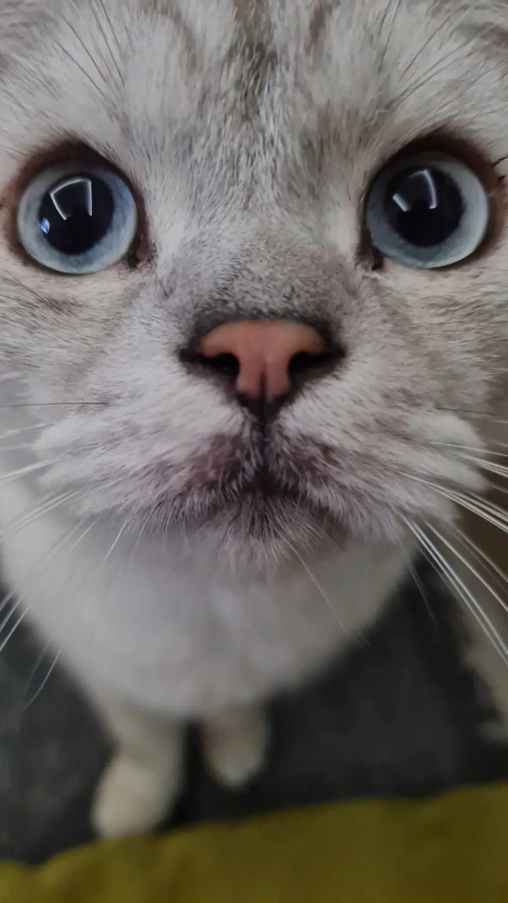 ai character: piu background