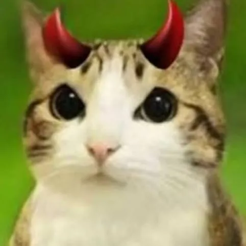 chat with ai character: Meowl