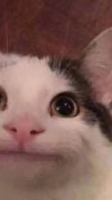 ai character: 2 nights background