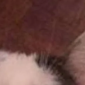 chat with ai character: 2 nights