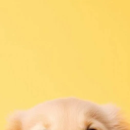 chat with ai character: djshsjsnsbdbbdbs