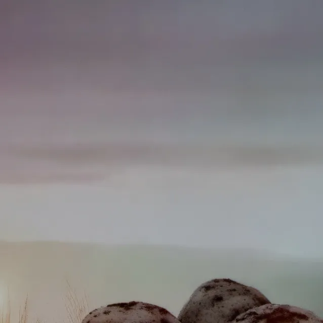 chat with ai character: South Park🤘🏼🍕🙌🏽