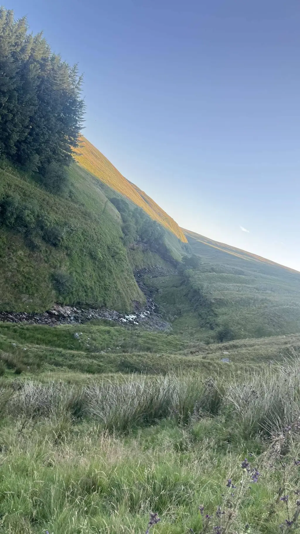 ai character: SQ School Fireee background