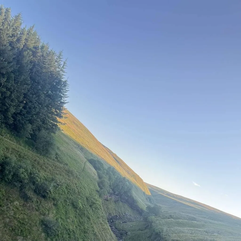 chat with ai character: SQ School Fireee