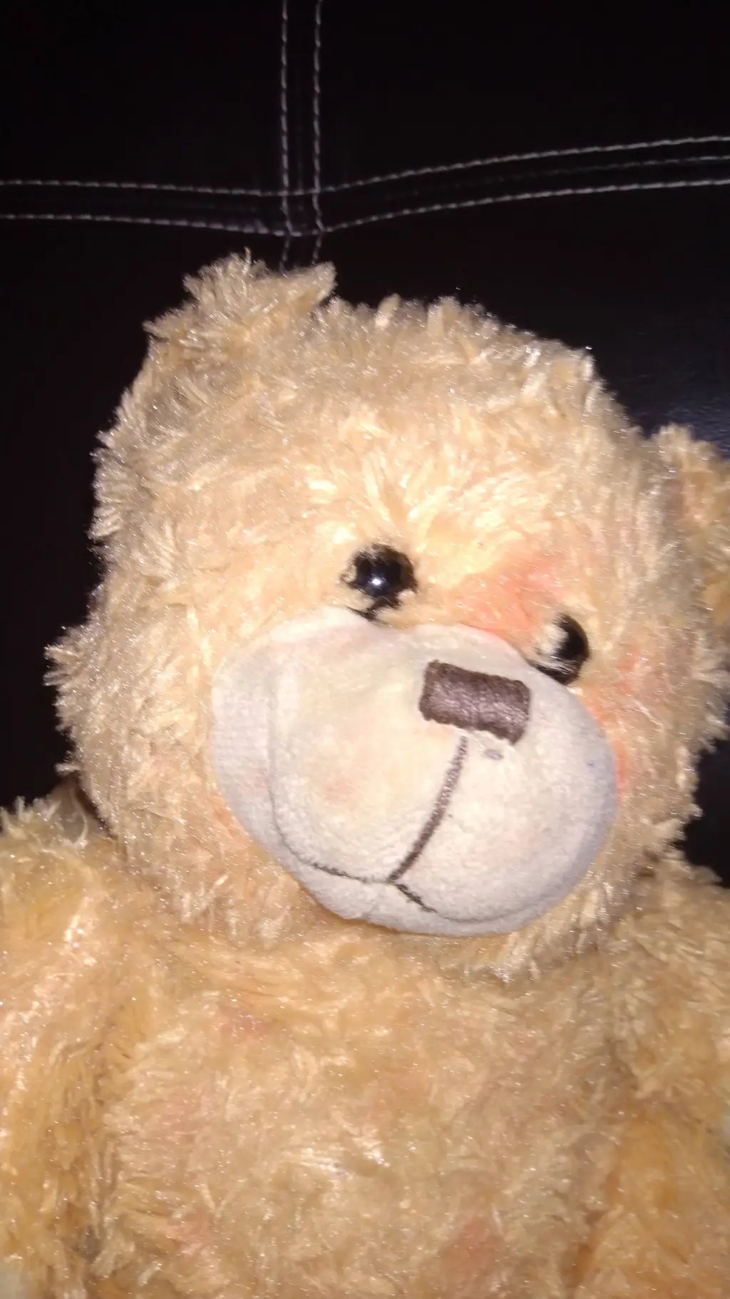 ai character: teddy from roblox  background