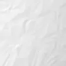 chat with ai character: Fpe