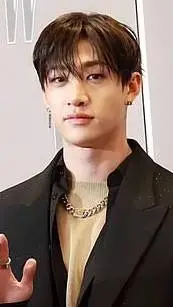 ai character: bangchan🩷 background