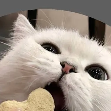 chat with ai character: cute kitty