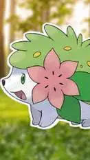 ai character: sʜᴀʏᴍɪɴ [ 🌺🦔 ] background