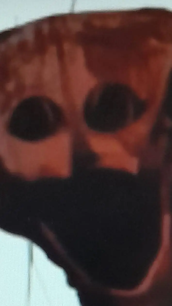 ai character: jxjxjxjxj background