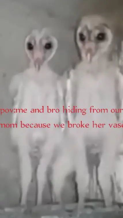 ai character: FPE field trip! background