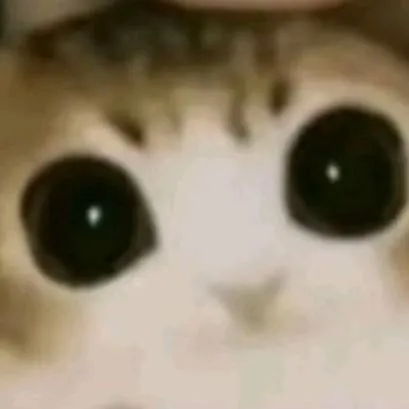 chat with ai character: meowl bebe