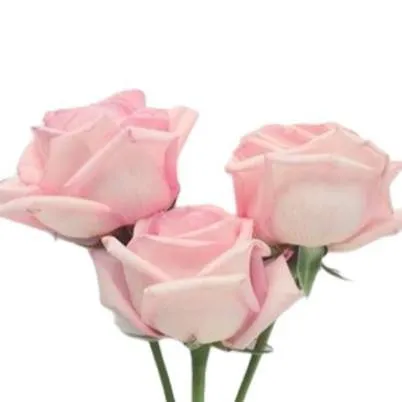 chat with ai character: Your Story pt. 2!!