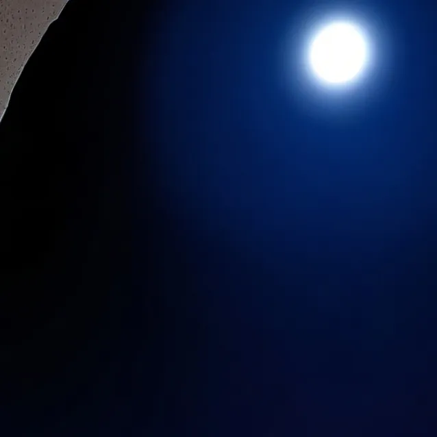 chat with ai character: capitán gato