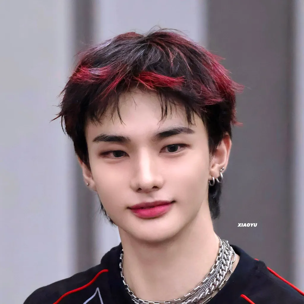 chat with ai character: Hyunjin 