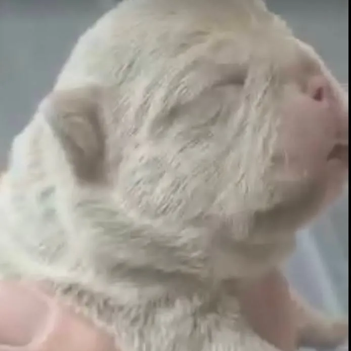 chat with ai character: You🍓🍒❤️💗