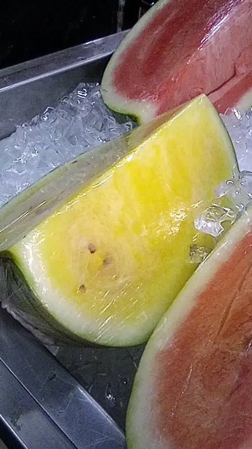 ai character: roblox infection  background