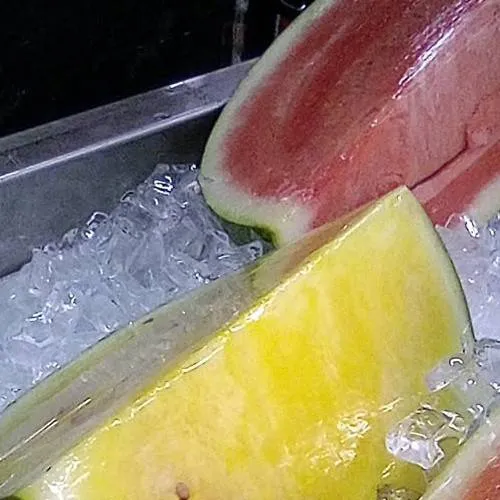 chat with ai character: roblox infection 