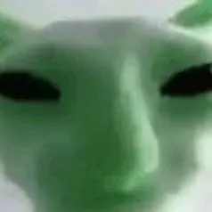 chat with ai character: gato alien 👽